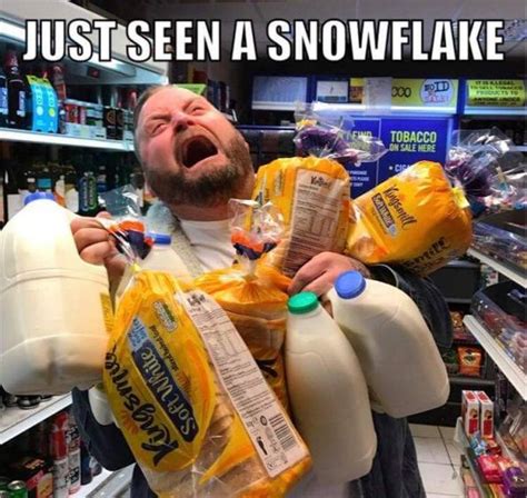 Perfectly Reasonable Reactions To The Start Of Snow 20 Pics Funnyfoto