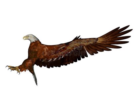 Golden Eagle Landing Vector Stock Vector Illustration Of Hand