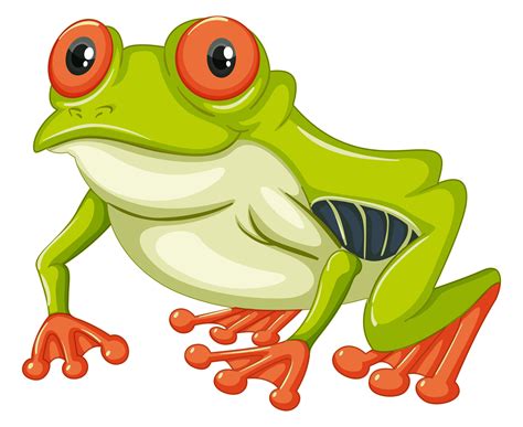 Green Frog With Happy Smile 430704 Vector Art At Vecteezy
