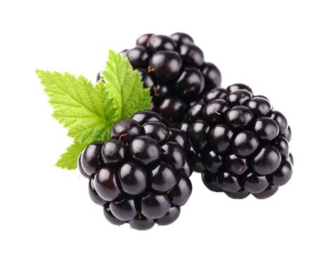 3 Blackberrys Png Image Fruit Blackberry Food