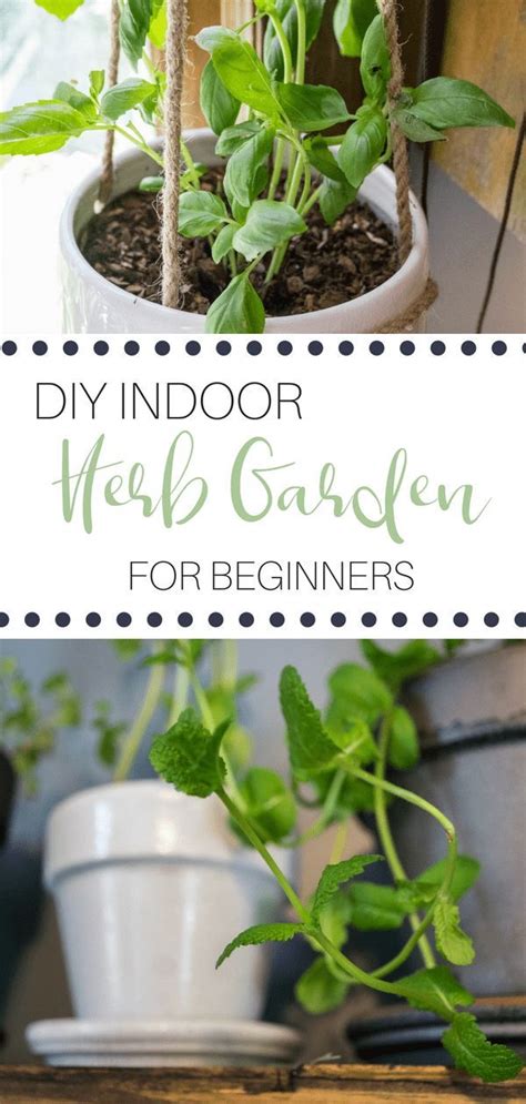 Indoor Herb Gardening For Beginners Gardening For Beginners Indoor