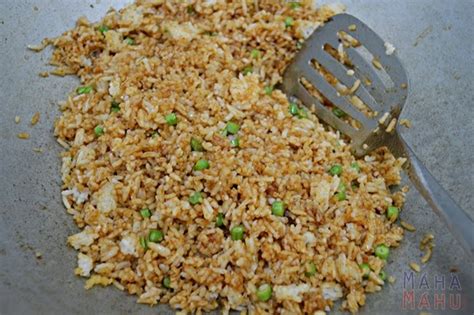 Tuang dalam ikan salmon goreng, tutup, diamkan sampai mendidih dan air agak sedikit mengering. Dapur Mahamahu Resepi Nasi Goreng Salmon Buatan Sendiri ...