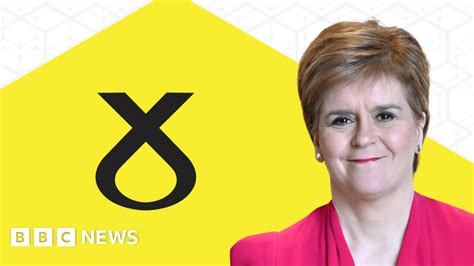 Scottish Election 2021 A Simple Guide To The Snp
