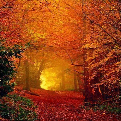 Beauteous Autumn Scenery Fall Pictures Scenery
