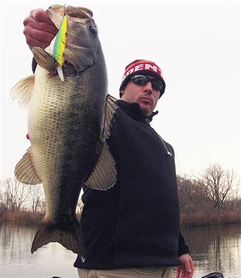 Largemouth Bass By The Calendar On The Water