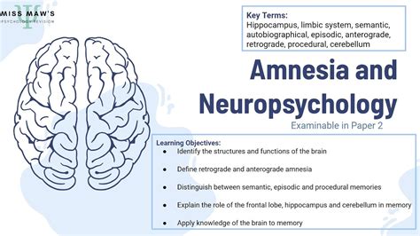 Ocr Gcse Psychology Memory Amnesia And Neuropsychology Youtube