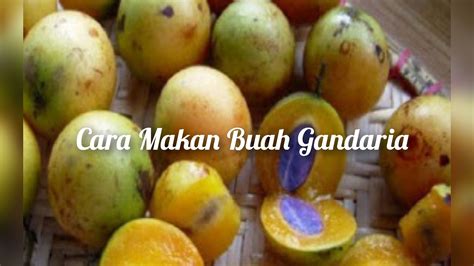 Buah Ramania