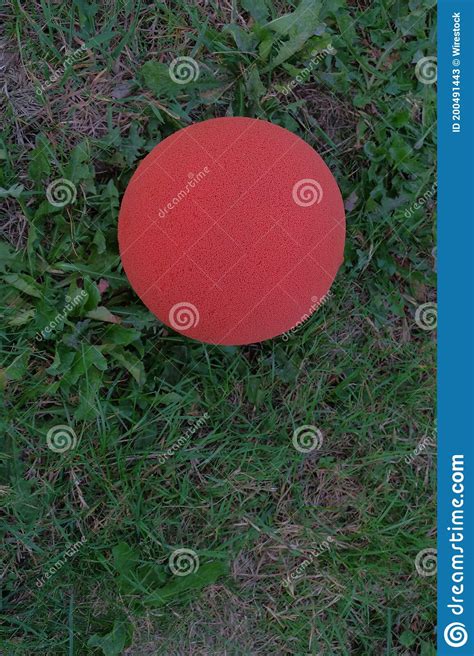 Vertical Shot Of A Small Red Ball Stock Image Image Of Recreational