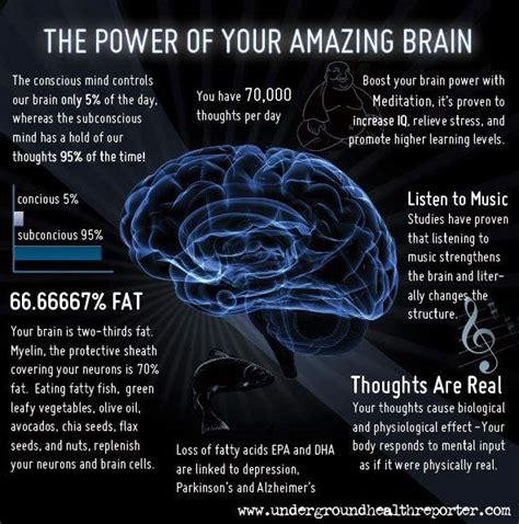 7 Awe Inspiring Facts About Your Brain Infographic Intent Blog