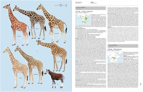 Handbook Of The Mammals Of The World Alchetron The Free Social