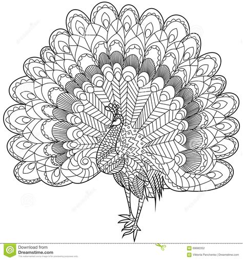 Pauw Het Kleuren Vector Voor Volwassenen Vector Illustratie