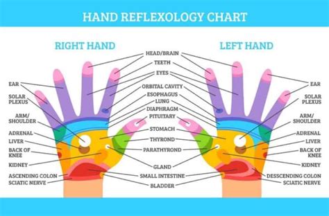 seven important pressure points on your hands bino massage