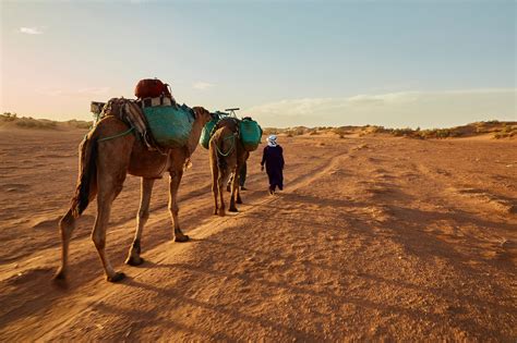 The majestic dunes of erg chebbi in merzouga. 3 Day Sahara Desert Tour from Marrakech to Marrakech