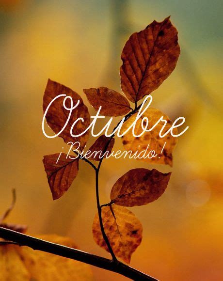 Ver más ideas sobre bienvenido octubre, decoración de unas, collage fotos. ¡Bienvenido Octubre! | Compartiendo Luz con Sol