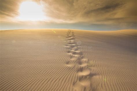 Foot Path In Desert Stock Photo Image Of Heat Backpacker 79665240