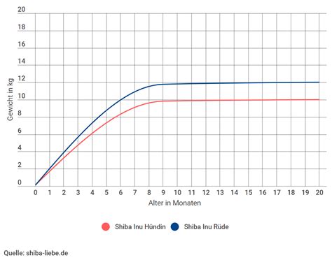 Preise die darunter oder darüber sind möglich. Shiba Inu Wachstum - Größe und Gewicht (mit Tabelle und ...