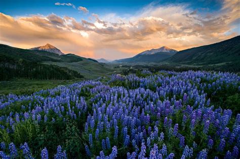 Free wifi, swimming pool, free breakfast Explore Crested Butte Colorado - Pioneer Guest Cabins