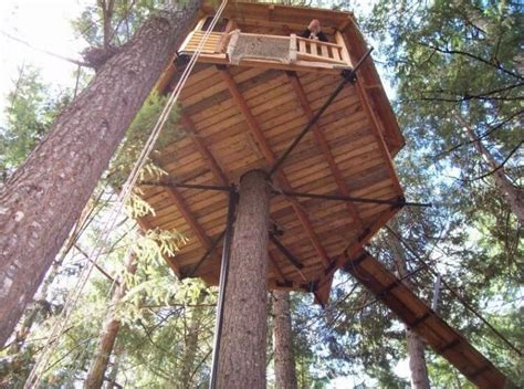 21 Unbeliavably Amazing Treehouse Ideas That Will Inspire You Tree