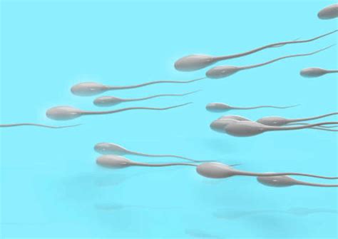 Cara Meningkatkan Kesuburan Dan Kualitas Sperma Pria
