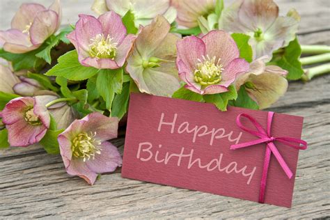 Today, i would advise you to be nice to your kids. Happy Birthday flowers | Happy birthday flower, Happy ...