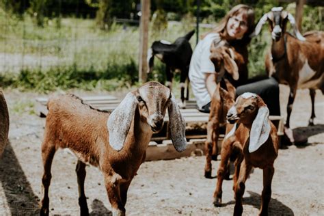 Take A Hike With Nubian Goats Grand Rapids Magazine