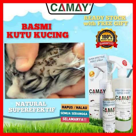 Spray Kutu Kucing Cat Flea Lice Spray Camay Repellent Ml Lazada