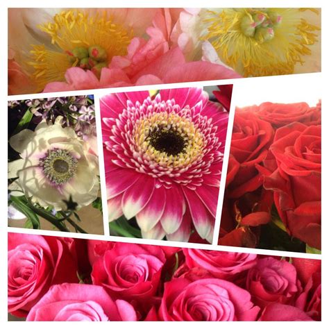 As for valentines day delivery, the flowers were beautifully presented and so fresh. www.brigitteflowers.co.uk order now your valentines ...