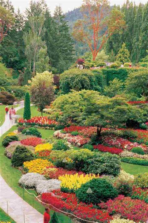 The butchart gardens in victoria, bc is ranked by usa today, cnn and national geographic as a top garden in the world. WillGoTo : Canada, Pictures from Victoria BC.