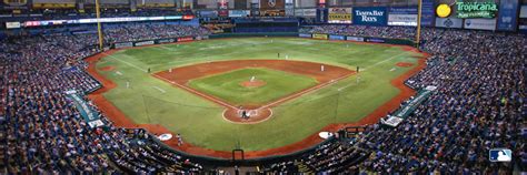 Tampa Bay Rays 1000 Pieces Masterpieces Serious Puzzles