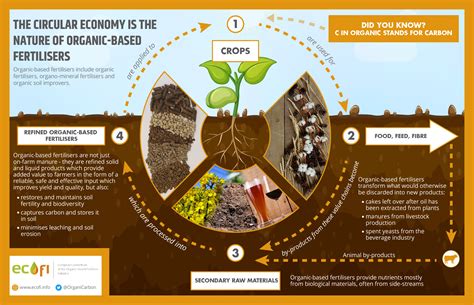 The Circular Economy Is The Nature Of Organic Based Fertilisers Ecofi