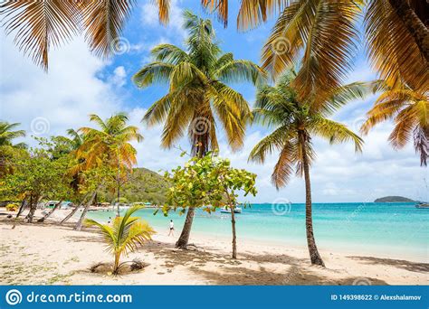 Idyllic Beach At Caribbean Stock Photo Image Of Nature 149398622