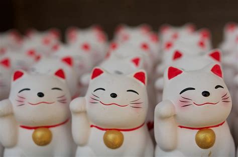 Lucky Cats Lucky Cat Maneki Neko Japanese Culture Art