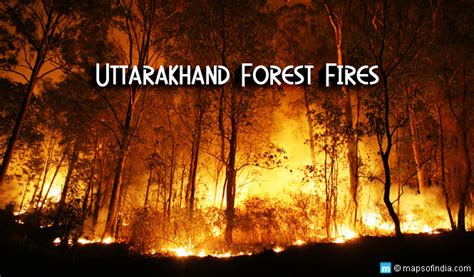 Uttarakhand Forest Fires Causes And Facts You Should Know India