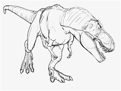 Palm trees, white sand and turquoise ocean will delight everyone too! Godzilla Coloring Pages 2014 at GetColorings.com | Free ...