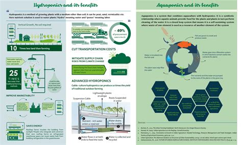 Urban Farming Infographics Hydroponics And Aquaponics By Monica
