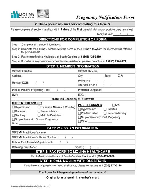 Consent 2013 2024 Form Fill Out And Sign Printable Pdf Template