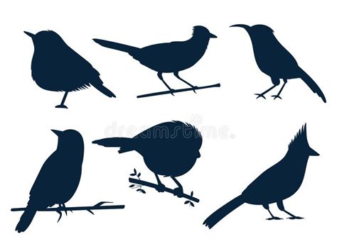Birds Set Vector Design Illustration Isolated On White Background Stock