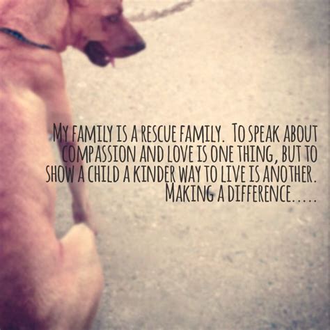 Foster Dog Quotes Quotesgram