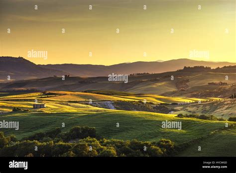 Tuscany Spring Rolling Hills On Sunset Rural Landscape Green Fields