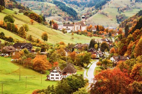 The Best Drives To See Fall Foliage In Europe
