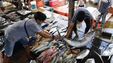 Jenis Ikan Yang Biasa Dimakan Didapati Di Malaysia