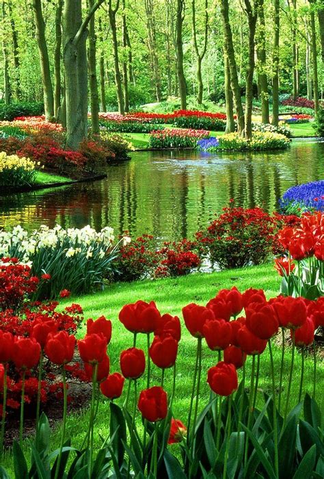 Pin By £θฯ§ On Scenery Most Beautiful Gardens Beautiful Flowers