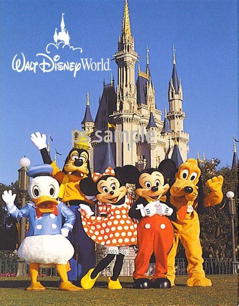 Details About Disney World Characters Mickey Minnie Donald Pluto Goofy