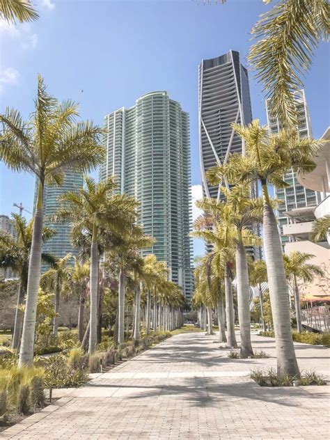 Guía De Miami Las 10 Mejores Cosas Que Hacer En Miami Dónde Alojarse — Alma De Viaje