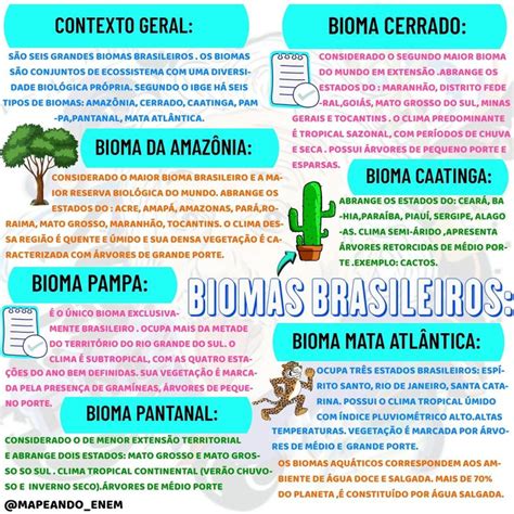 Biomas Brasileiros O Que Caracter Sticas E Mapa Estudo Pr Tico