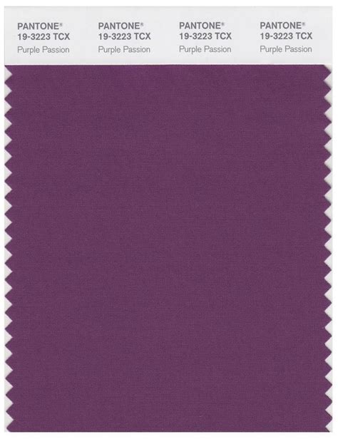 Pantone Smart 19 3323 Tcx Color Swatch Card Deep Purple In 2022