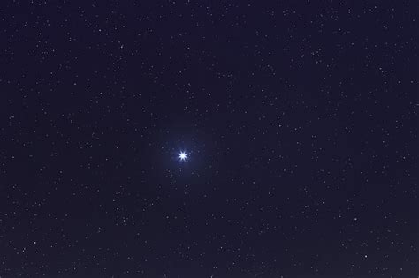 Premium Photo Sirius Brightest Star On Night Sky Sirius Star