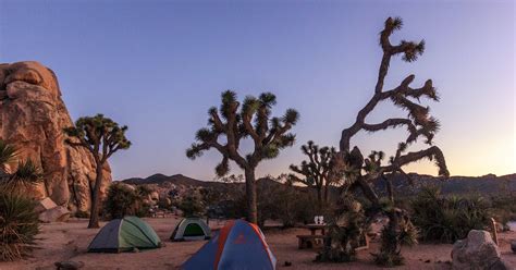 Camp At Ryan Campground In Joshua Tree Np Riverside County California