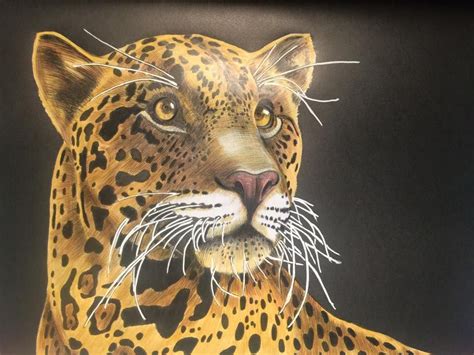 Jaguar 2 By Tina Lee In 2020 Colored Pencil Artwork Animal Drawings