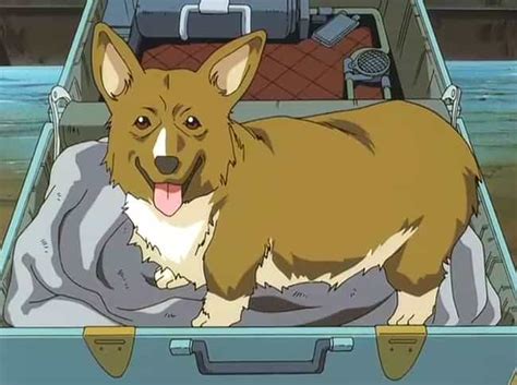 Anime Dog Carinewbi